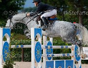 Maestri Beverly All GioCav2013 S5 3748 : Beverly All, Campionati Italiani Giovani Cavalli, Cattolica, Maestri Samuele, ph Stefano Secchi ©